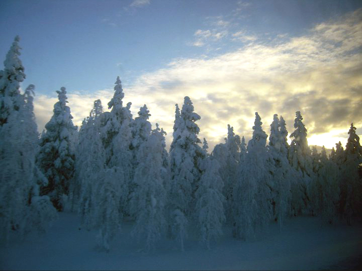 芬蘭 – 白色的童話國 FINLAND – the white fairyland